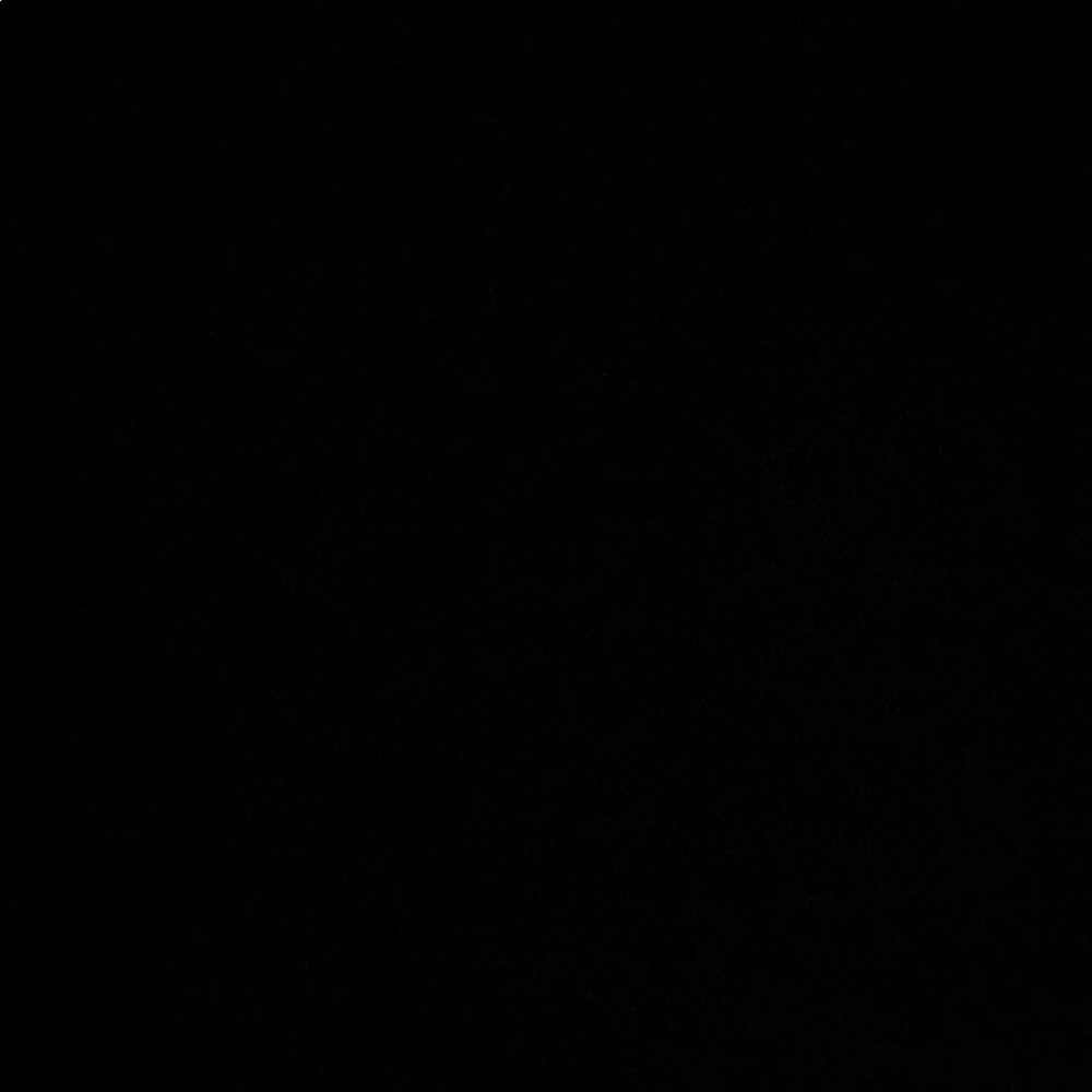 Meet your Posher, Monae